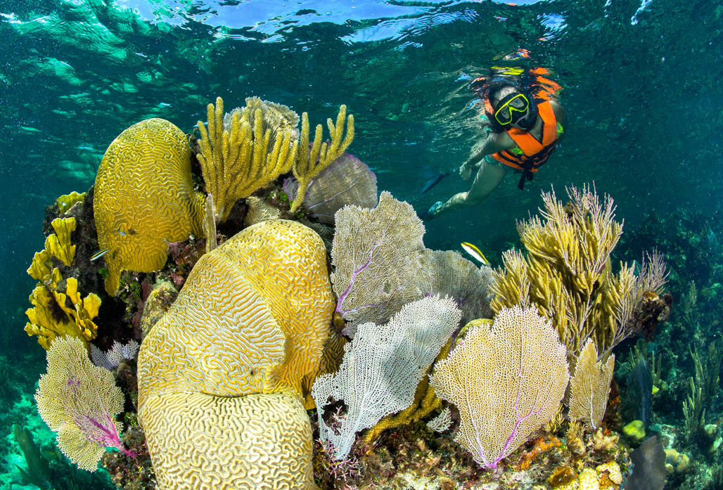 Snorkeling Adventure